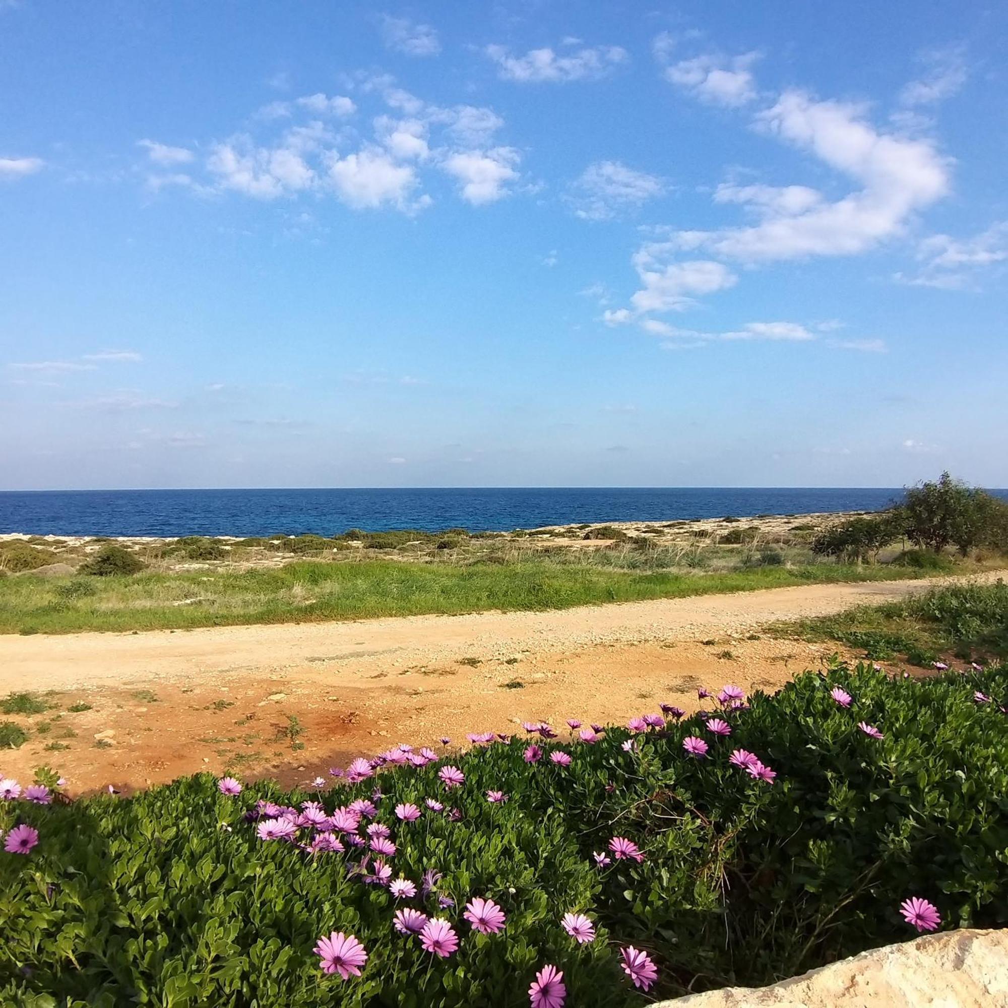 Mosaic Villa By The Sea Protaras Exterior photo